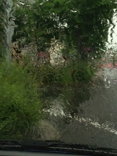 雨の車中から